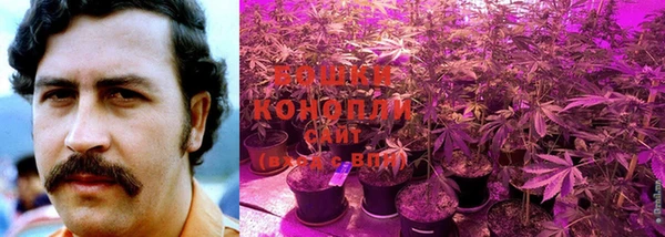 кокаин колумбия Белокуриха