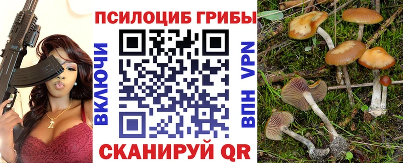Псилоцибиновые грибы Psilocybe Городовиковск